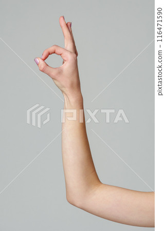 Female hand showing OK sign on gray background Female hand showing OK sign on gray background 116471590