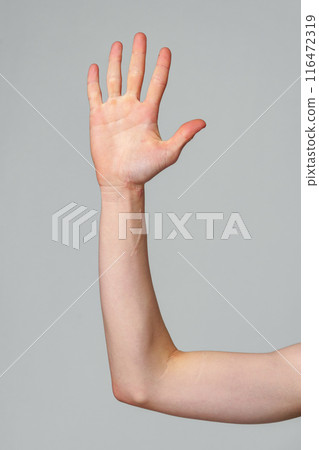 Person With Hand Raised Up in the Air 116472319