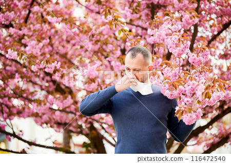 Man allergic suffering from seasonal allergy at spring in blossoming garden at springtime. Man sneezing and blowing nose using nasal handkerchief in front of blooming tree. Spring allergy concept. Man allergic suffering from seasonal allergy at spring in blossoming garden at springtime. Man sneezing and blowing nose using nasal handkerchief in front of blooming tree. Spring allergy concept. 116472540