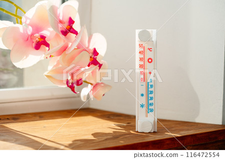 White Thermometer Shows Room Temperature In Degrees Celsius Near Pink Orchid Flowers White Thermometer Shows Room Temperature In Degrees Celsius Near Pink Orchid Flowers 116472554