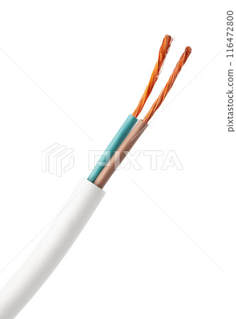White Two-Wire Electrical Cable With Exposed Copper Wires White Two-Wire Electrical Cable With Exposed Copper Wires 116472800