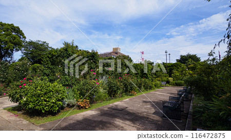 Yokohama City, Kanagawa Prefecture, Minato no Mieru Oka Park (French Garden, British House, Yamate 111 Building) 116472875