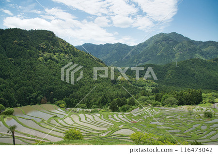 Maruyama Senhada [Kiwa-cho, Kumano City, Mie Prefecture] 116473042