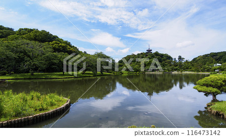 Sankeien Garden, a scenic spot and famous spot in Honmoku, Yokohama City, Kanagawa Prefecture / Summer at Sankeien Garden Sankeien Garden, a scenic spot and famous spot in Honmoku, Yokohama City, Kanagawa Prefecture / Summer at Sankeien Garden 116473142