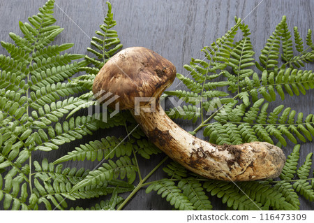 Autumn taste, matsutake mushrooms 116473309
