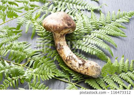 秋天的味道，松茸 116473312