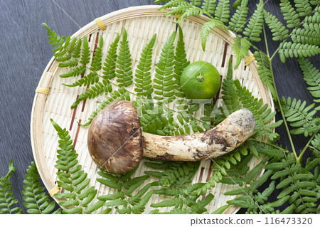 秋天的味道,松茸 秋天的味道,松茸 116473320