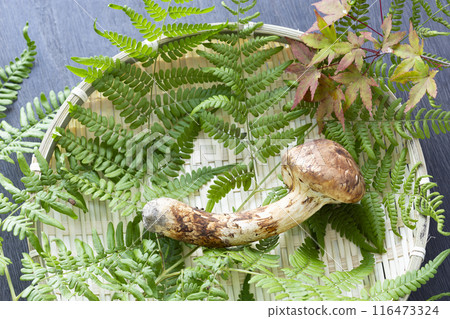 秋天的味道,松茸 秋天的味道,松茸 116473324