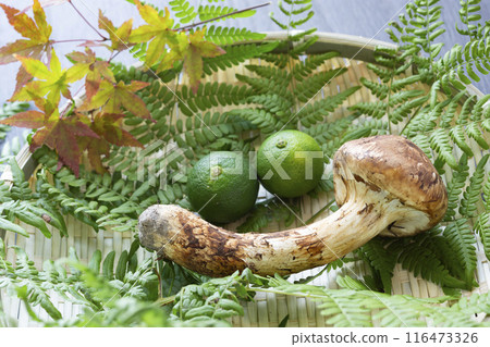 秋天的味道,松茸 秋天的味道,松茸 116473326