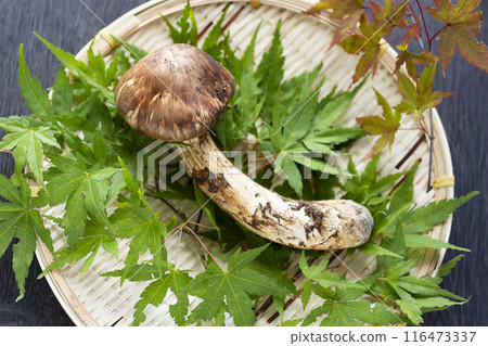 秋天的味道,松茸 秋天的味道,松茸 116473337