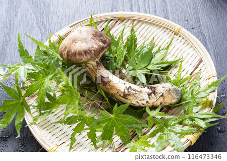 Autumn taste, matsutake mushrooms 116473346