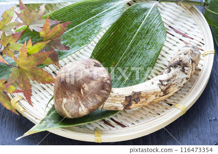 秋天的味道，松茸 116473354