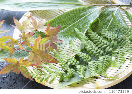 秋天的味道,松茸 秋天的味道,松茸 116473359