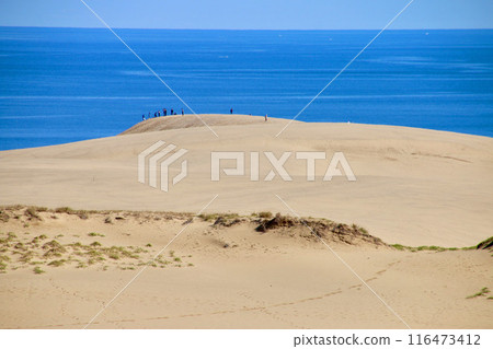 鳥取沙丘/山陰海岸國立公園(鳥取縣/鳥取市) 鳥取沙丘/山陰海岸國立公園(鳥取縣/鳥取市) 116473412