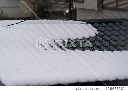 Snow remaining on the roof 116473581