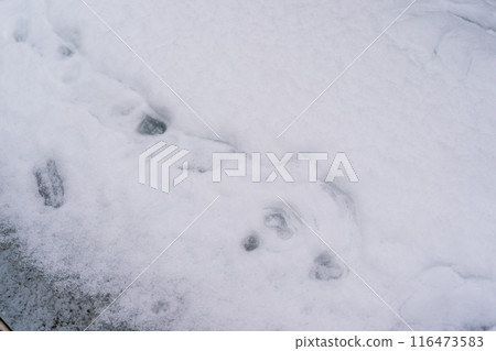 snow on the balcony 116473583