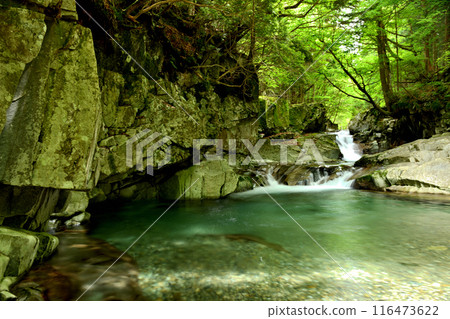 Kajika Falls [Tenkawa Village, Nara Prefecture] 116473622