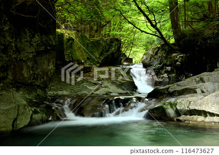 Kajika Falls [Tenkawa Village, Nara Prefecture] 116473627