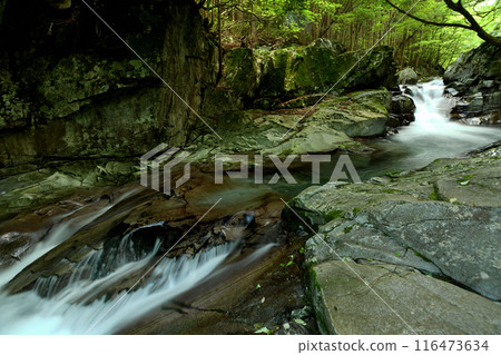 河鹿瀑布【奈良縣天川村】 116473634