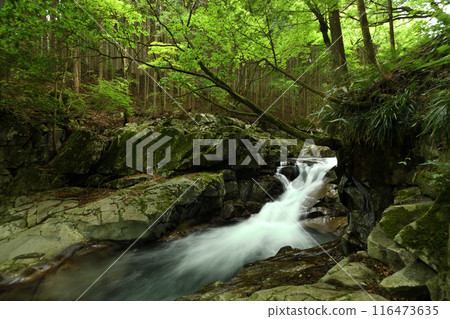 河鹿瀑布【奈良縣天川村】 116473635