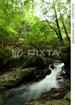 Kajika Falls [Tenkawa Village, Nara Prefecture] 116473636