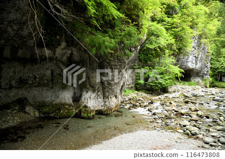 Praying Mantis Cave (Praying Mantis Cave) [Tenkawa Village, Nara Prefecture] 116473808