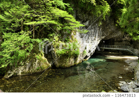 Praying Mantis Cave (Praying Mantis Cave) [Tenkawa Village, Nara Prefecture] 116473813