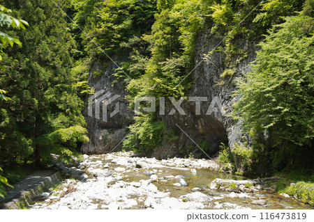 Praying Mantis Cave (Praying Mantis Cave) [Tenkawa Village, Nara Prefecture] 116473819