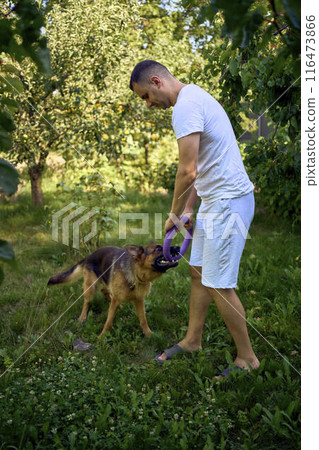 man playing with dog, tug toy, chew toy 116473866