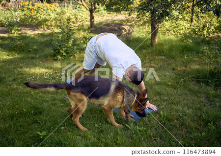 man does somatic exercises with his dog in the garden in the morning 116473894