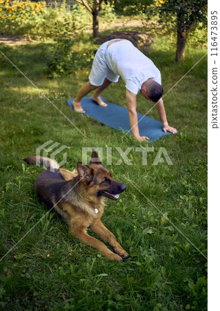 man does somatic exercises with his dog in the garden in the morning man does somatic exercises with his dog in the garden in the morning 116473895