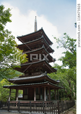 Kaijusenji Temple (Five-storied Pagoda) [Kamo Town, Kizugawa City, Kyoto Prefecture] 116473928
