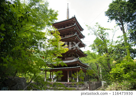 Kaijusenji Temple (Five-storied Pagoda) [Kamo Town, Kizugawa City, Kyoto Prefecture] 116473930