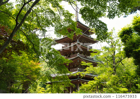 Kaijusenji Temple (Five-storied Pagoda) [Kamo Town, Kizugawa City, Kyoto Prefecture] 116473933