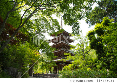 Kaijusenji Temple (Five-storied Pagoda) [Kamo Town, Kizugawa City, Kyoto Prefecture] 116473934