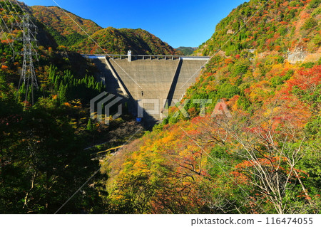 [Hyogo Prefecture] Hase Dam and autumn leaves on a clear day 116474055