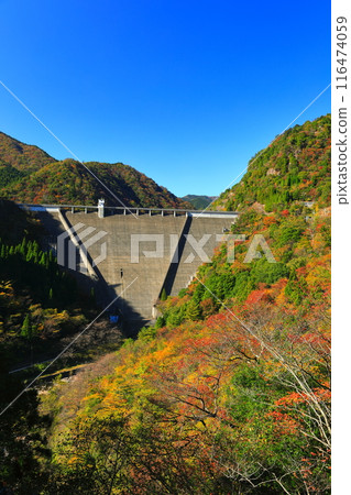 [Hyogo Prefecture] Hase Dam and autumn leaves on a clear day 116474059