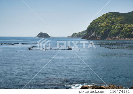 View of Nikijima Bay (Sasanojima) [Nikijimacho, Kumano City, Mie Prefecture] 116474181
