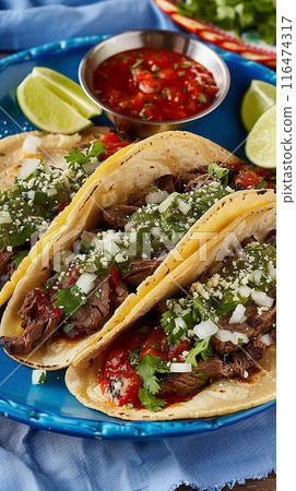 Chicken mexican tacos on a plate Chicken mexican tacos on a plate 116474317