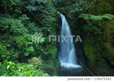 西門瀑布[奈良縣十津川村金西] 116474383