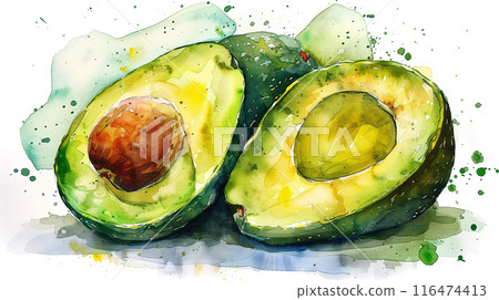 watercolor art illustration of avocado 116474413