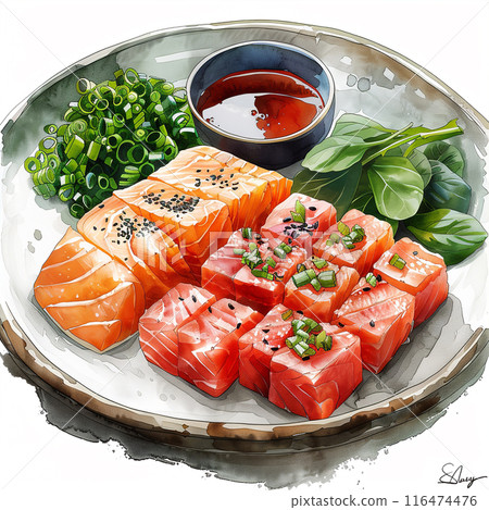 Watercolor art illustration of japanese sashimi Watercolor art illustration of japanese sashimi 116474476