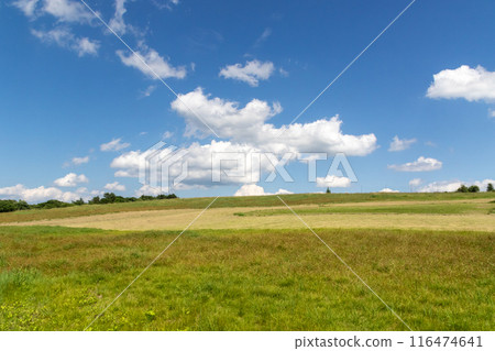 Summer Tsumagoi Village Baragi Plateau Summer Tsumagoi Village Baragi Plateau 116474641