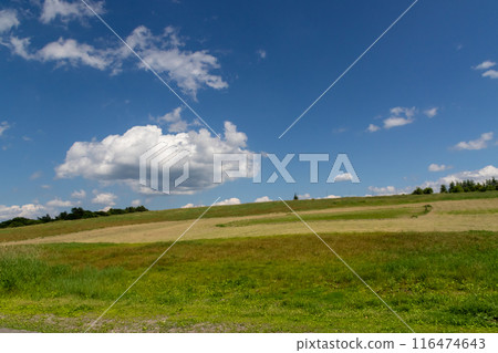 Summer Tsumagoi Village Baragi Plateau Summer Tsumagoi Village Baragi Plateau 116474643
