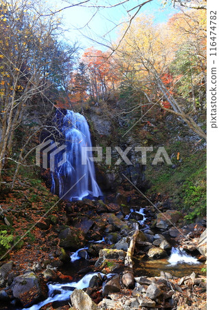 Autumn leaves at Urabandai Onogawa Fudotaki Falls 116474782