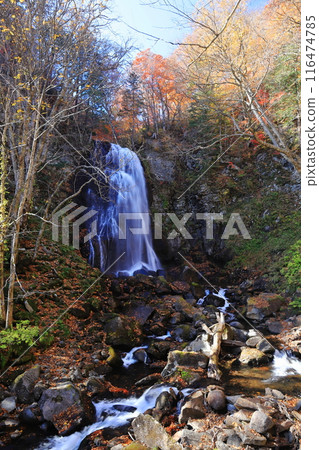 Autumn leaves at Urabandai Onogawa Fudotaki Falls 116474785