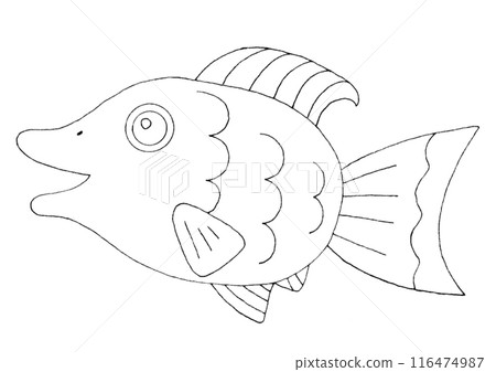 Simple fish illustration line drawing 116474987