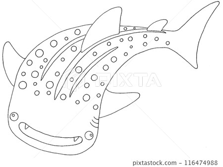 Simple whale shark illustration line drawing Simple whale shark illustration line drawing 116474988