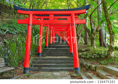 [兵庫縣] 晴天的出石城鳥居 116475181