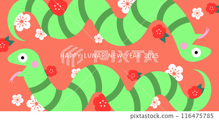 Chinese new year card with cartoon snake and flowers pattern. Chinese new year card with cartoon snake and flowers pattern. 116475785